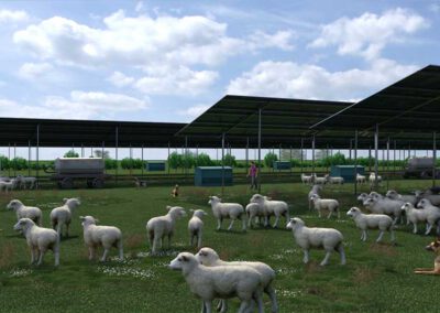 Solarprojekte: Konzepte Agri-PV