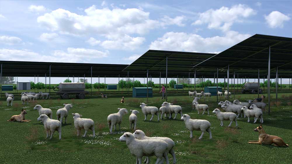 Concepts agri-PV