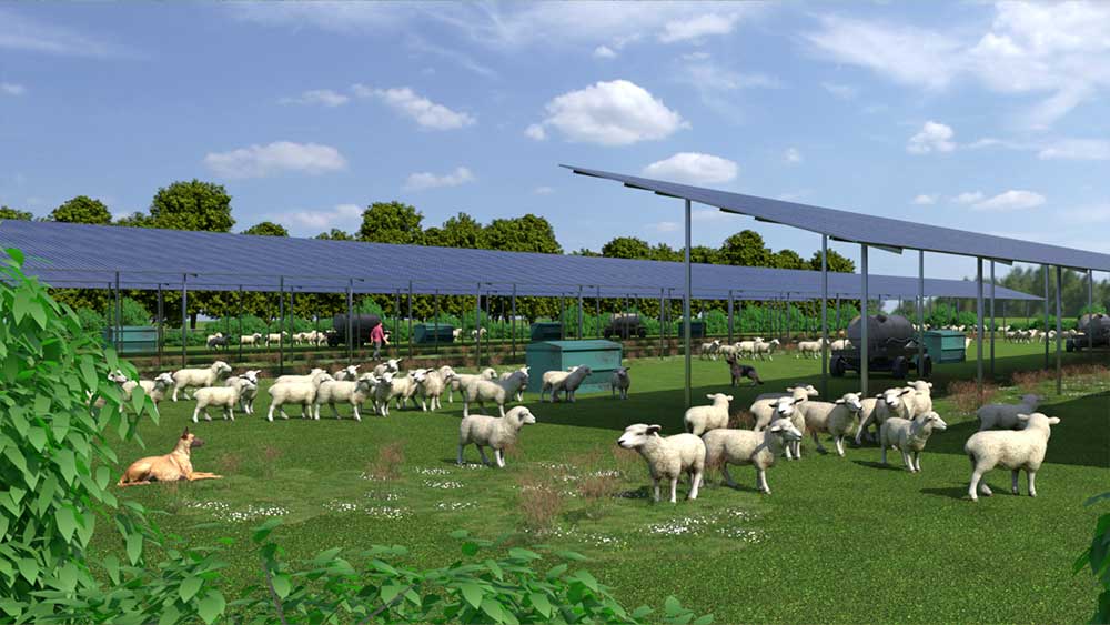 Solarprojekte: Konzepte Agri-PV